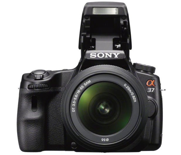 Sony SLT A37 + 18-5 MM - 1407184 - zdjęcie 7